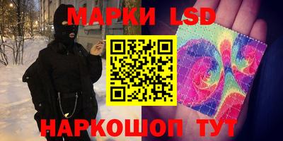 стафф Славгород