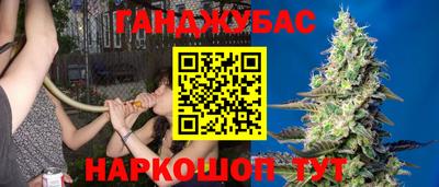 стафф Славгород